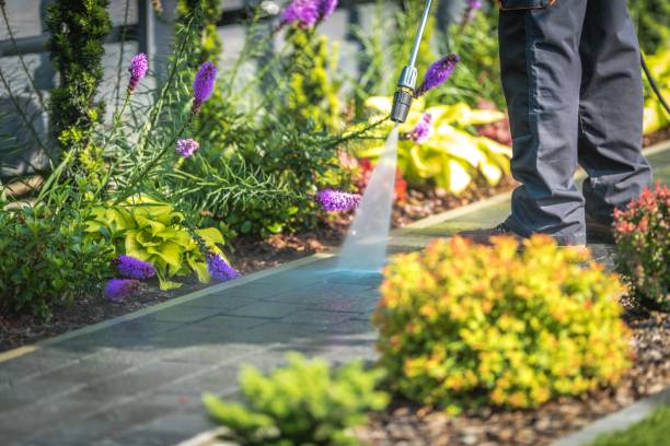 Best Sidewalk and Walkway Cleaning  in Ridge, NY