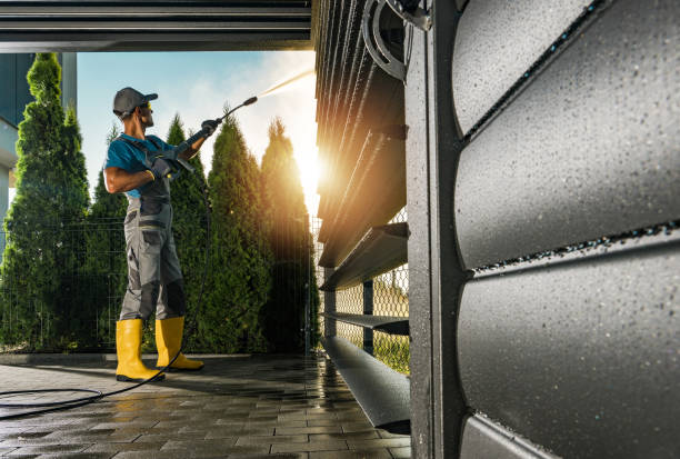 Best Soft Washing  in Ridge, NY